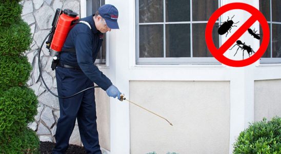Çandır Gümüşkurt İlaçlama böcek ilaçlama ve haşere kontrolü — ilaclama-tr.com